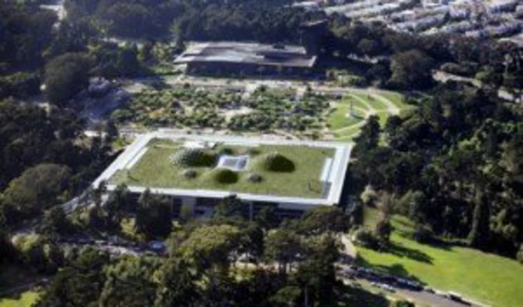 Mariaż przyrody z architekturą – Budynek California Academy of Science
