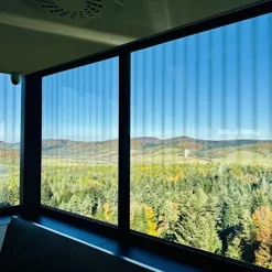 specjalistyczne-szklo-w-projektach-dla-zwierzat---od-wiez-widokowych-po-akwaria