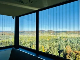 Specjalistyczne szkło w projektach dla zwierząt – od wież widokowych po akwaria