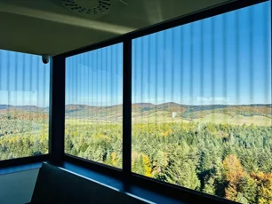 Specjalistyczne szkło w projektach dla zwierząt – od wież widokowych po akwaria