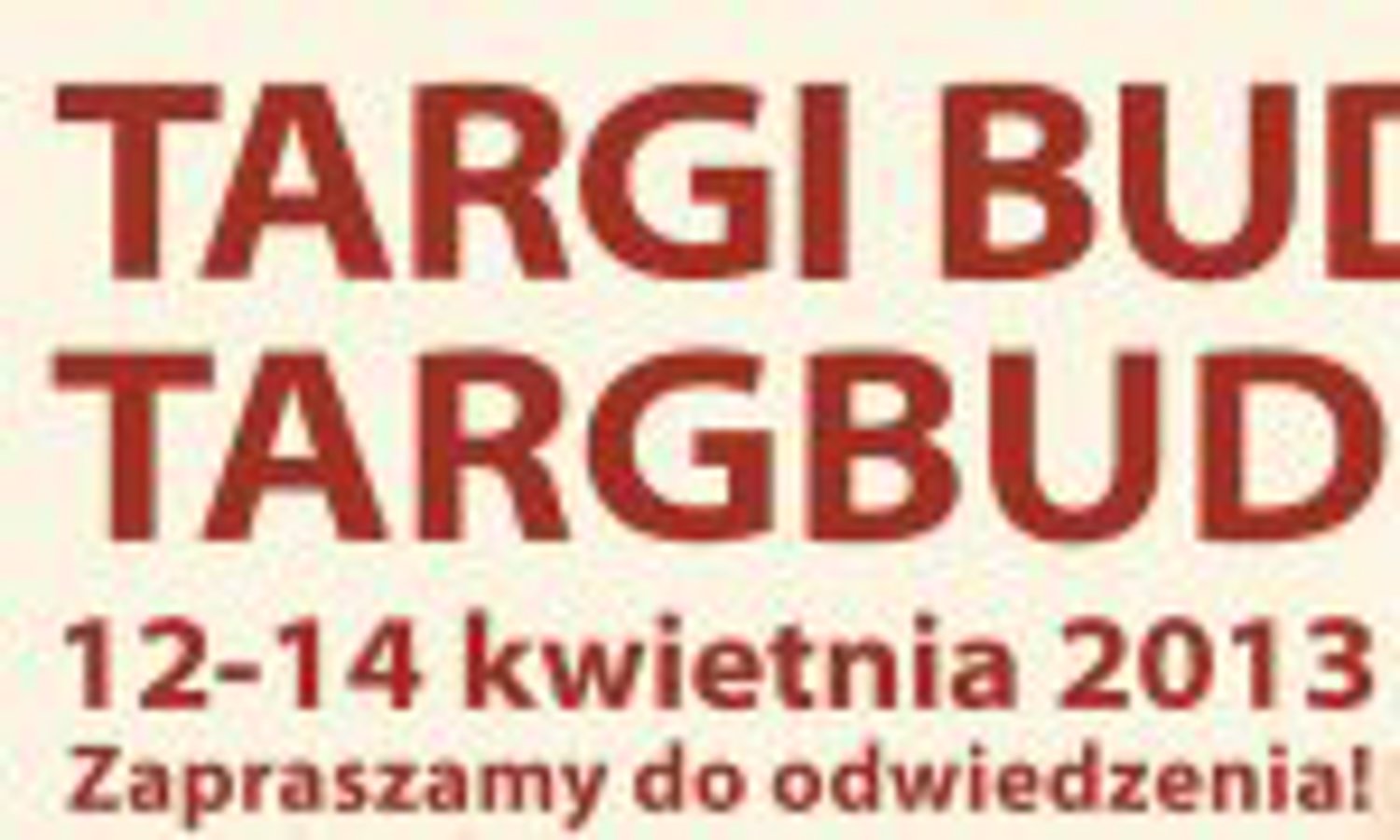 TARGBUD 2013, zjazd specjalistów z  branży